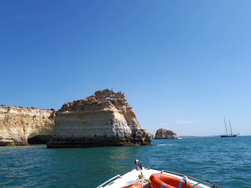 5bc46424231fe560663867