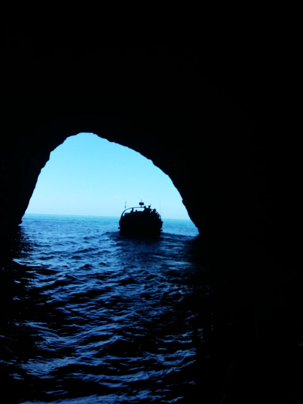 5bc46429e26de506847511