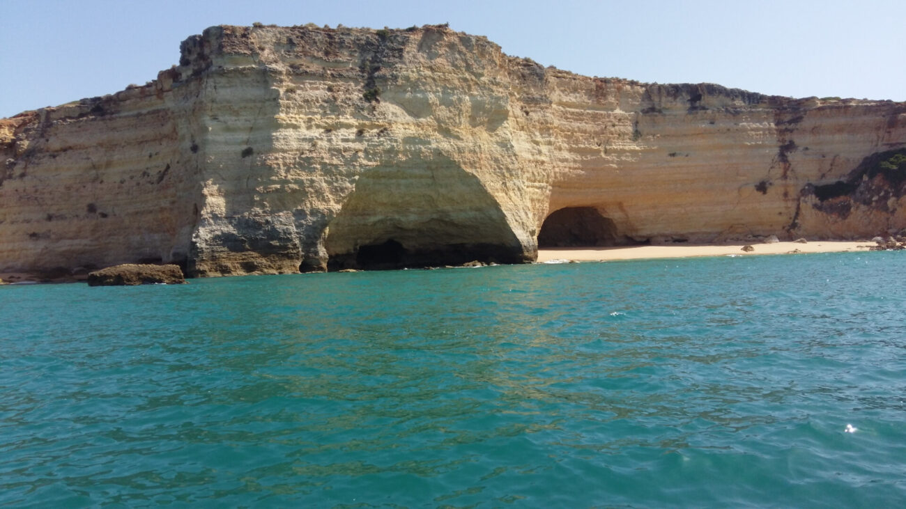 5bc4642f2dc6b795512795