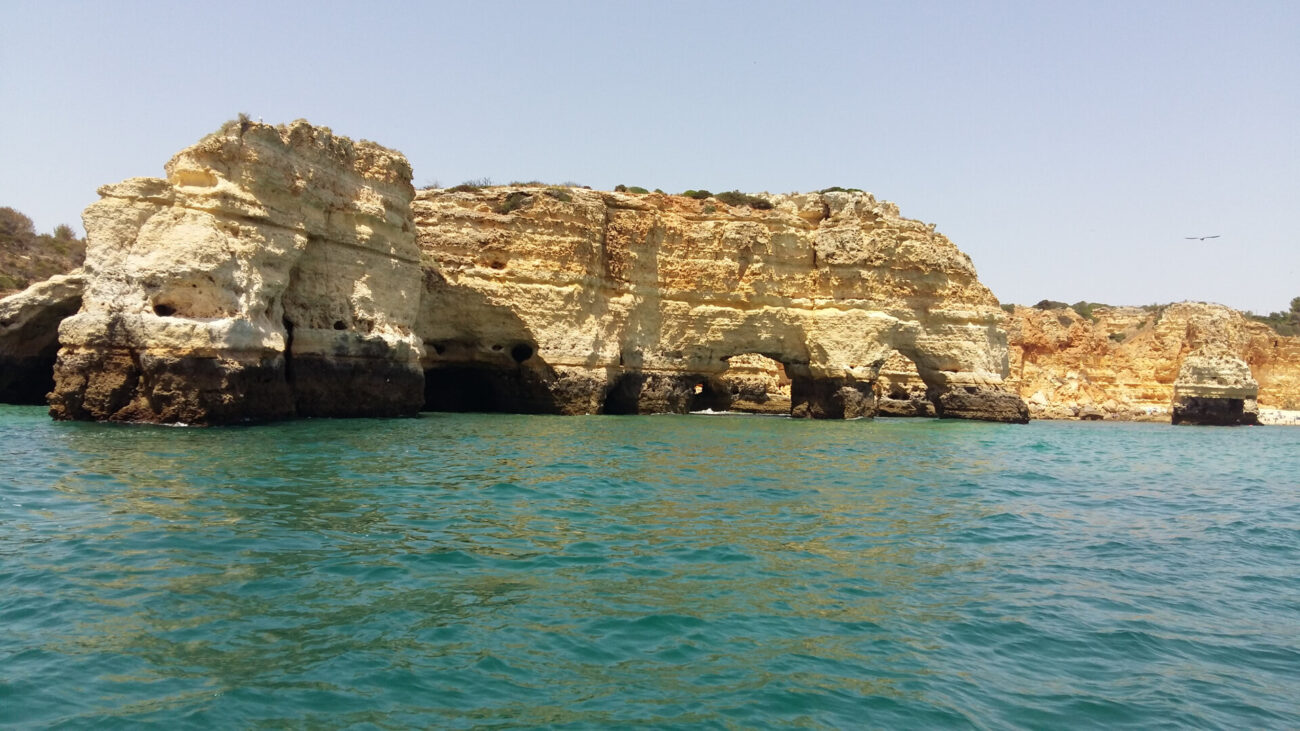 5bc46430b28f9685620360