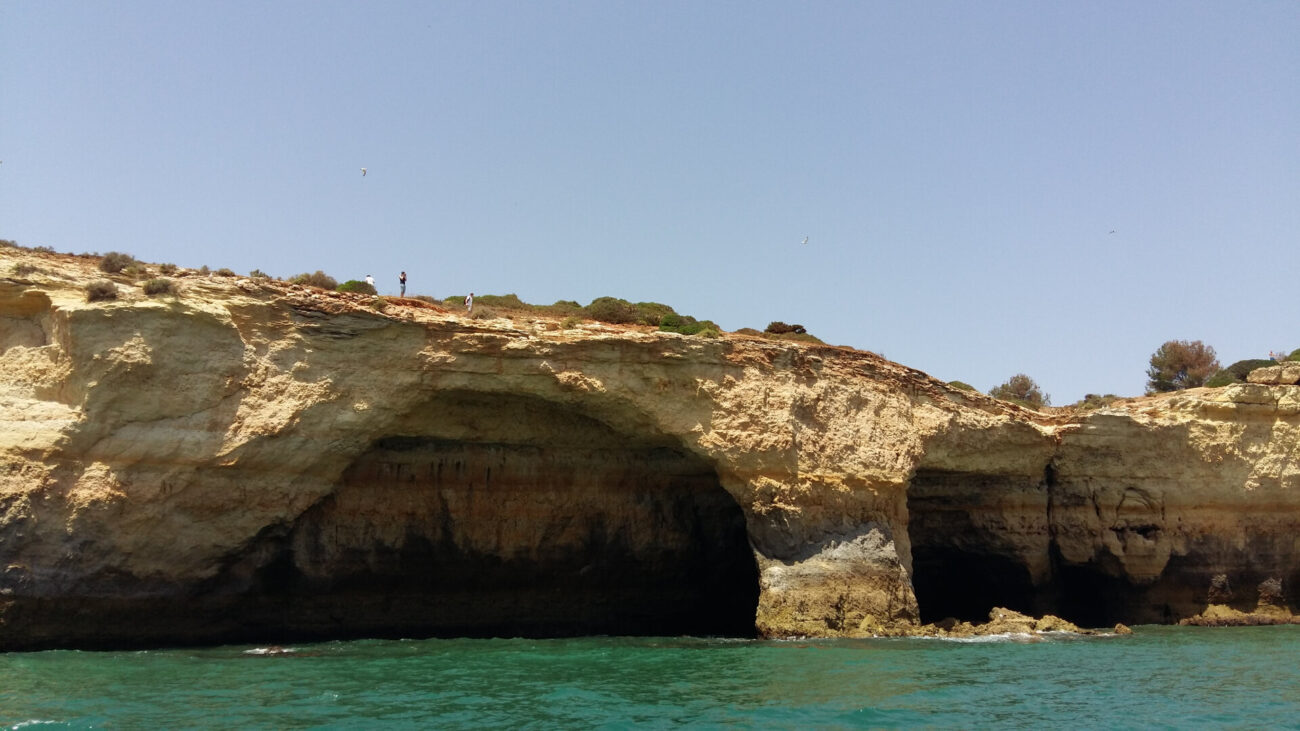 5bc464310f1cc502977812