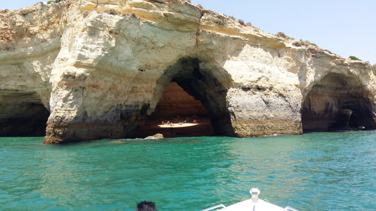 5bc46431aaf04677801431