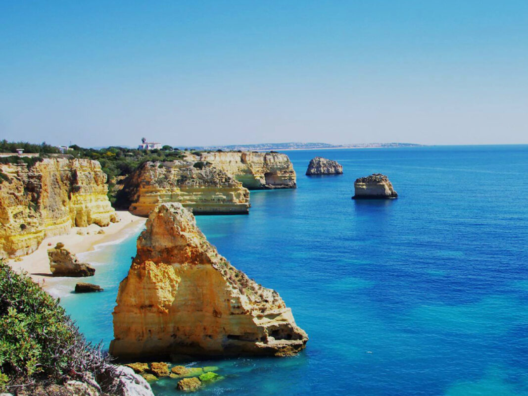 5bc464342519c669282517