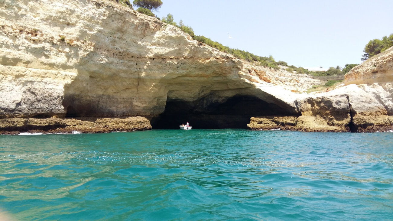 5bc4648600b9a098219987