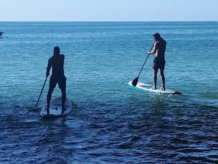Aluguer de Paddle Board